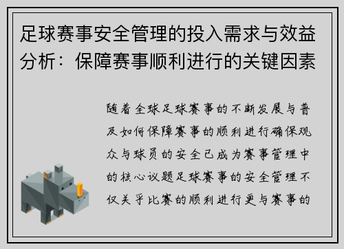 足球赛事安全管理的投入需求与效益分析：保障赛事顺利进行的关键因素